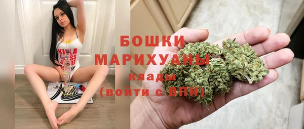 Альфа ПВП Горно-Алтайск