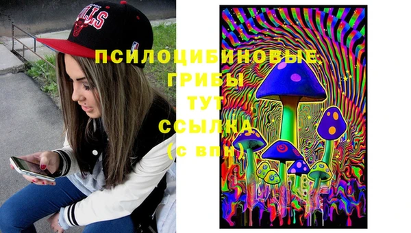Альфа ПВП Горно-Алтайск